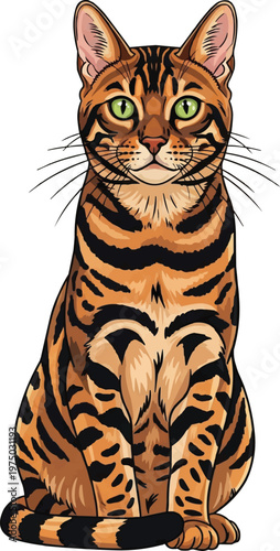 Bengal Cat sitting upright attentive facing front vector illustration
