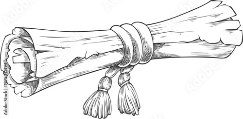 Ancient parchment roll, old paper blank scroll with ripped edges and tassels sketch, vintage vector engraved hand drawn