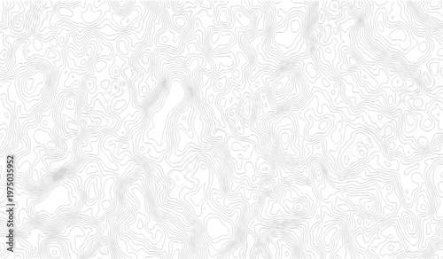 Topographic map contour line vector background with grey elevation curves on white surface for geography design.