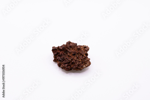 A close up image of coprolite which is fossilized feces isolated on a white background. 
