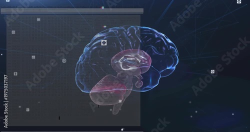 Translucent 3D brain rotating tilting after HUD panel sliding in, revealing cerebellum for research