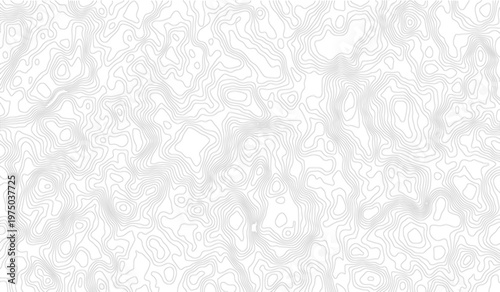 Topographic map contour line vector background with grey elevation curves on white surface for geography design.