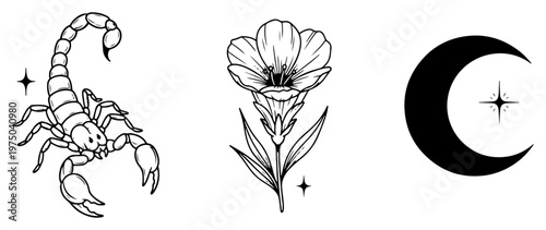 Scorpion and flower beside crescent moon with stars in minimalist line art tattoo style