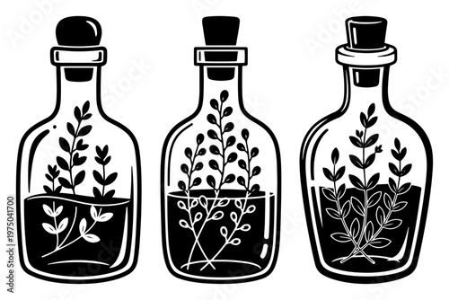 Glass bottles with herbal plants for medicine or decor silhouette style