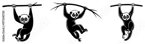 Slow loris primates hanging from branches in tropical jungle silhouette