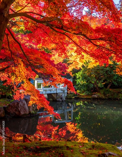 A vibrant autumnal scene of bright red and orange foliage frames a bridge and pond with reflections. Sunlight streams through