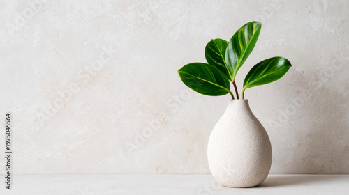Minimalist white vase with green leaves reflecting a clean, simple aesthetic for home decor concepts