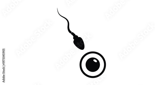A black silhouette of a sperm cell near an egg simplified silhouette