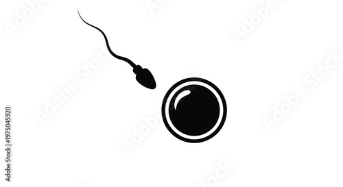 Simple graphic of a sperm cell and egg stark black silhouette