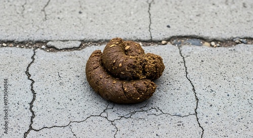 Animal droppings on cracked pavement surface with droppings excrement pavement concrete close up unpleasant wildlife sidewalk
