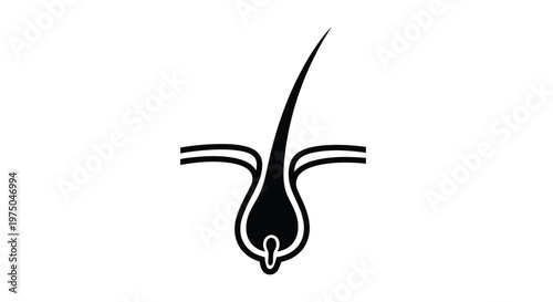 A graphical representation of a hair follicle in black silhouette
