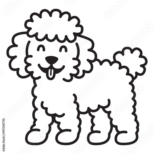 Black and white poodle