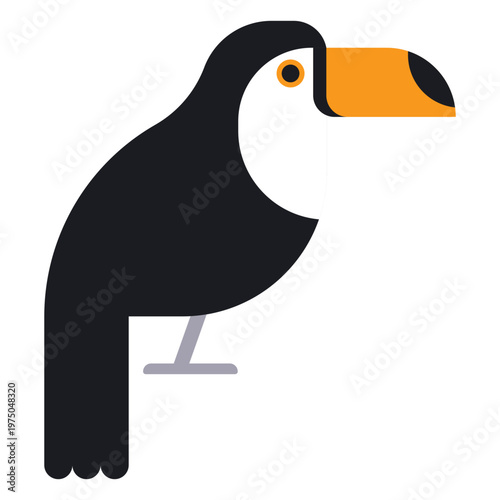 Black and white toucan sitting on a branch