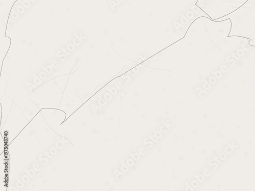 Elegant Marble Vein Texture Natural Stone Surface Background