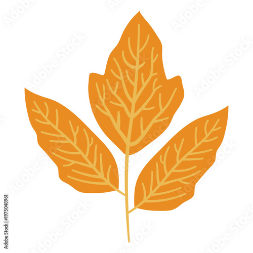 Принти на полотні Autumn orange leaf design