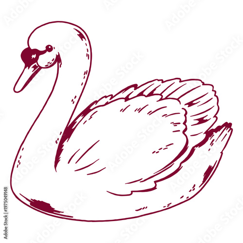 Swan romantic design