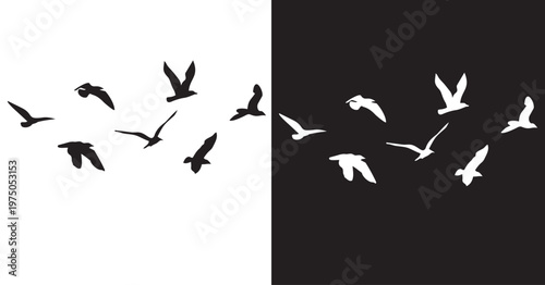 Soaring Silhouettes: A flock of birds takes flight against a backdrop of contrasting black and white, depicting themes of freedom and movement. 