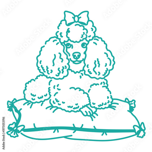 Elegant poodle on a cushion