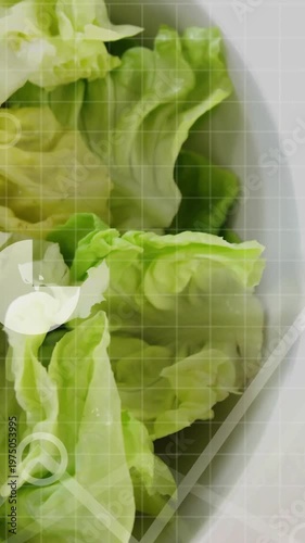 Vertical video: Cloud icon appearing and expanding data overlays sliding over lettuce showing stats