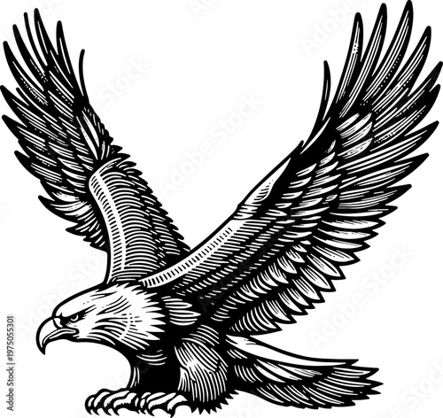 Detailed bird of prey sketch design for apparel