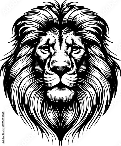 Bold lion face illustration with intricate details for t-shirt design