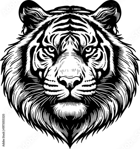 Intricate tiger head illustration for wall art