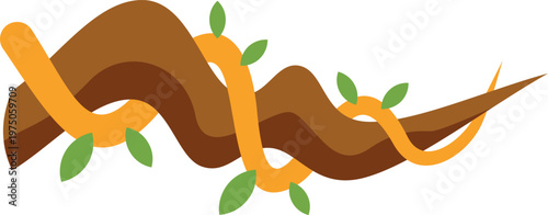 Tropical liana plant wrapping around a brown tree branch on white background