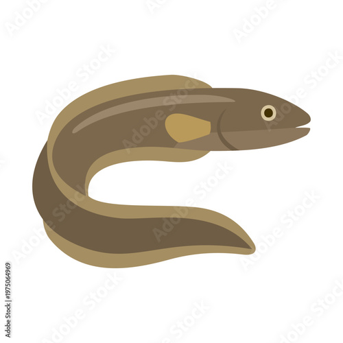 Freshwater Eel Illustration Vector Template Design