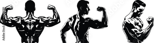 Anatomical study of human muscles front side and back views