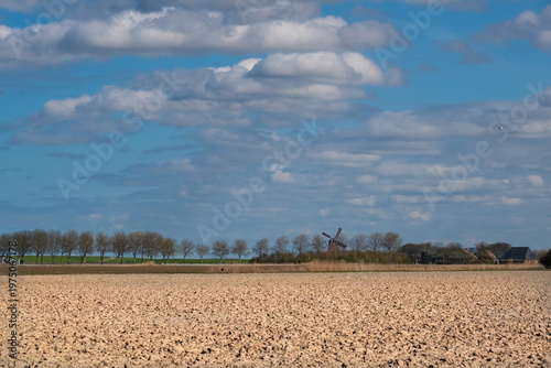 Vast clay field, freshly plowed, row of trees and old windmill in the distance, blue sky with small clouds