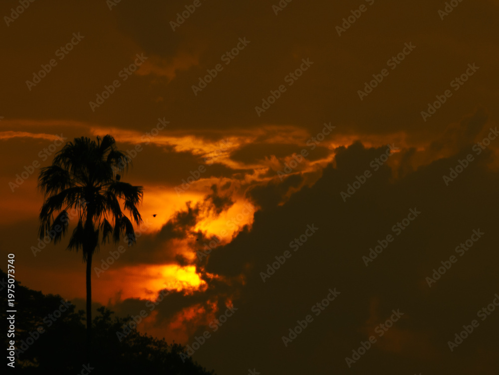 Fototapeta premium sunset in the mountains
