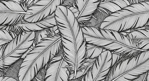 Detailed black and white illustration of delicate feathers forming an elegant natural seamless pattern or background texture.