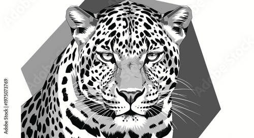Majestic Black and White Jaguar Portrait Vector Illustration. Powerful Wild Cat Head Graphic Art with Intense Gaze.