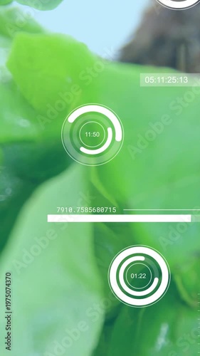 Vertical video: Leaf moving into frame, initiating HUD rings, charts on droplets for crop analysis