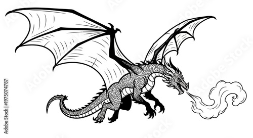 Majestic black and white illustration of a mythical flying dragon breathing fire, fantasy creature concept art for graphic design.