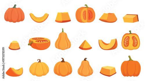 Pumpkin slices. Pumpkins prepare to cooking. Farm fresh vegetables cut halves and slice. Healthy seasonal bio products for different meals, sapid vector clipart
