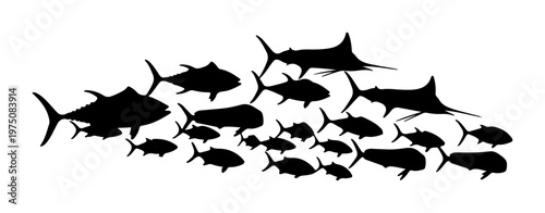 Tableau sur toile School of diverse fish silhouettes including tuna and marlin swimming in formati