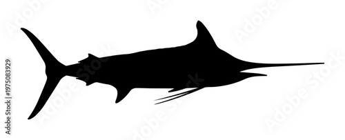 Silhouette of a marlin fish a powerful ocean predator isolated on a white background for aquatic themes and sport fishing concepts