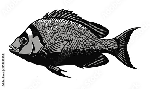 Detailed illustration of a single fish a marine creature with scales and fins isolated on a white background perfect for aquatic themes