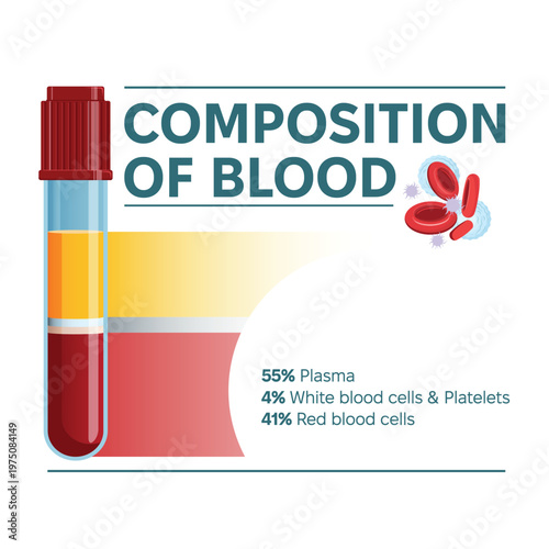 Composition of blood infographic vector illustration. Laboratory test tube and kinds of blood cells, plasma, platelets, white blood cells and red blood cells percentage.