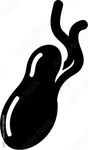 Human Gallbladder Organ Silhouette for Medical Anatomy Design