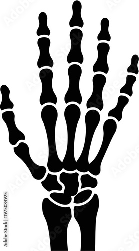 Human Hand Skeleton Bones Silhouette for Orthopedic Anatomy