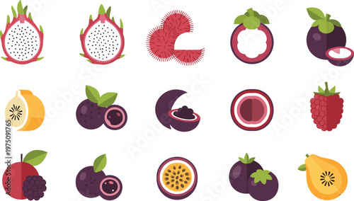 Exotic tropical fruit icon set featuring dragon fruit mangosteen rambutan passionfruit fresh flat vector illustration collection
