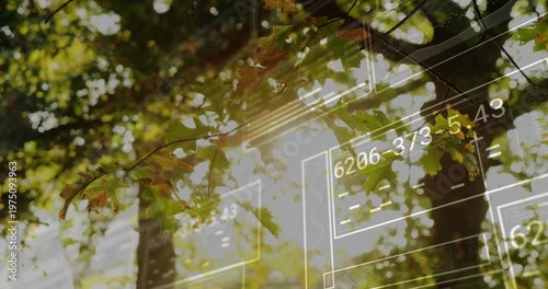 Tree canopy moving in sunlight while HUD tech panels fading in from right, measuring light metrics