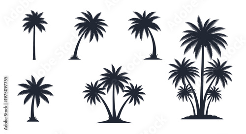 A set of seven stark black palm tree silhouettes showcasing various growth patterns and cluster arrangements against a clean and minimalist light grey background.