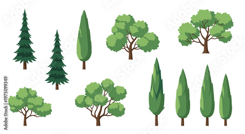 Beautifully rendered organic tree collection featuring tall dark green conifers and slender cypress silhouettes arranged artistically across a white background.