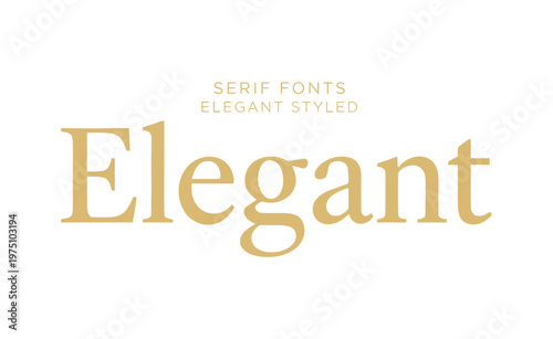A elegant styled serif font displayed on a clean white background