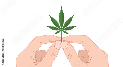 A close-up illustration of two human hands delicately grasping the stem of a single pristine green marijuana leaf centered within a horizontal white frame.