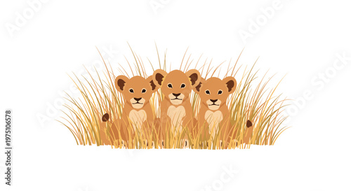 Three identical lion cubs sit alertly within a dense patch of tall dry savanna grass blades under bright lighting on a simple white background setup.