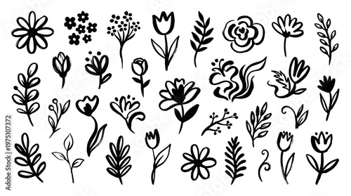 Hand drawn flowers brush set